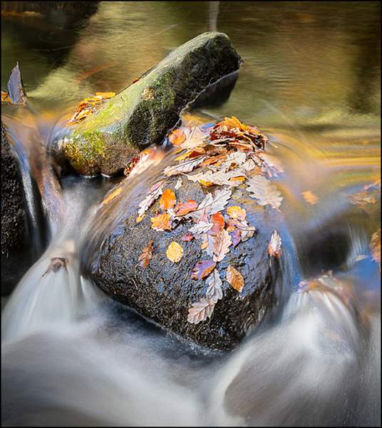 PG No 1 - Top Left.jpg